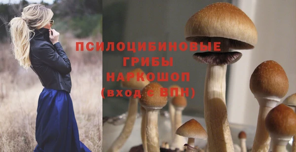 MESCALINE Заводоуковск