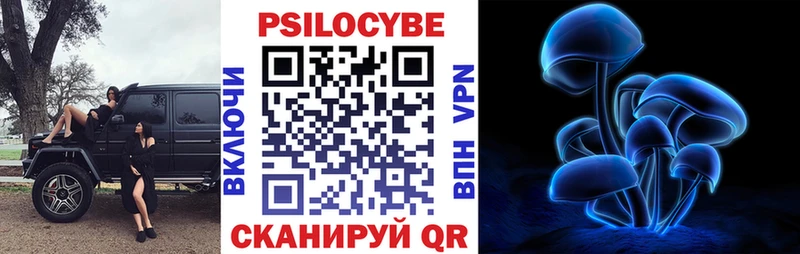 Купить где  Дивногорск  Галлюциногенные грибы Cubensis 